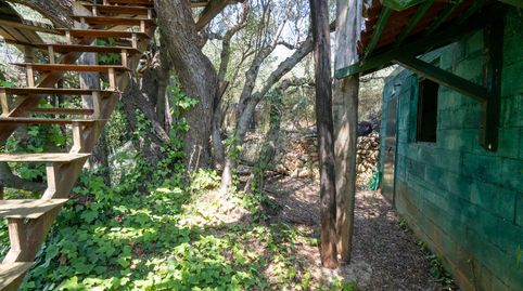 Foto 2 de Terreno en venta en N/a, -1, Mas de Barberans, Tarragona
