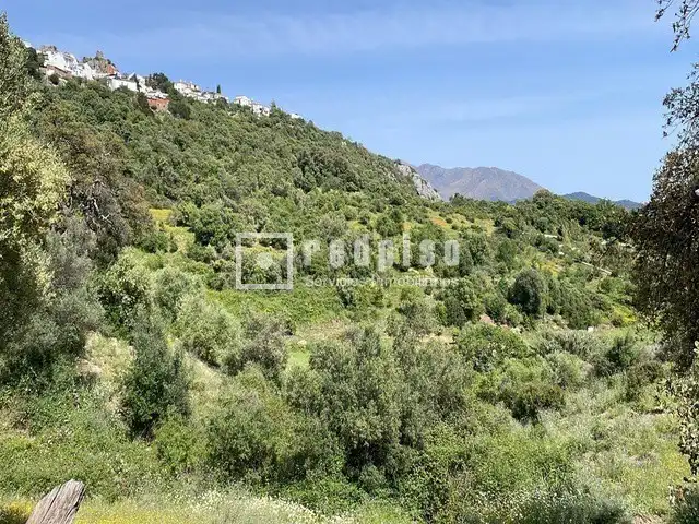 Residential for sale in Gaucín