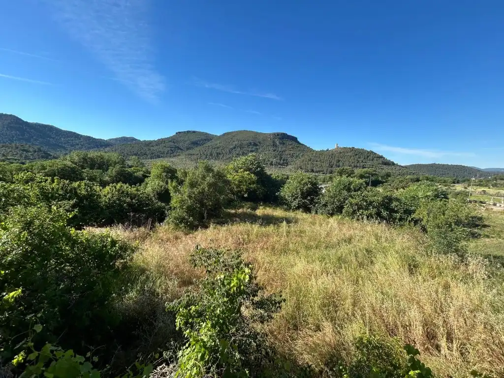 Casa o xalet en venda en Algimia de Almonacid