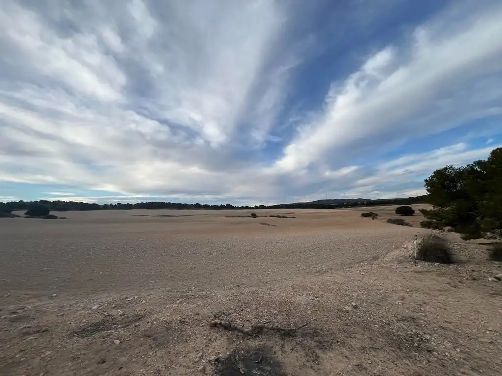 Terrenos y solares en venta en Hellín, imagen 12