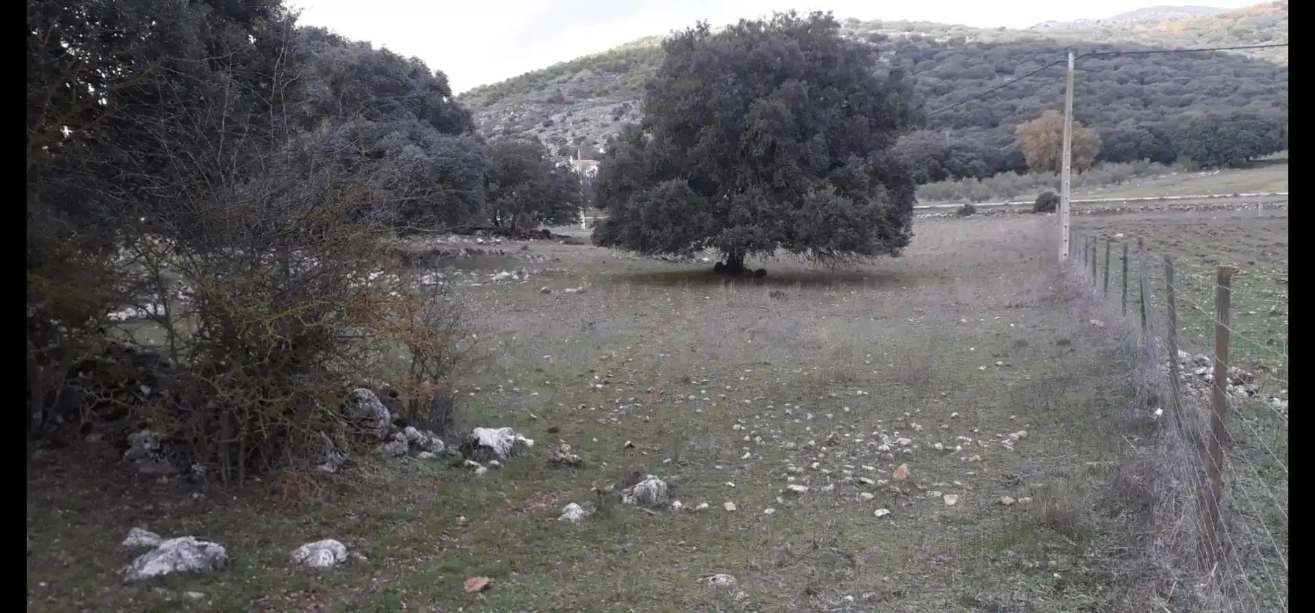 Country homes for sale in Zafarraya