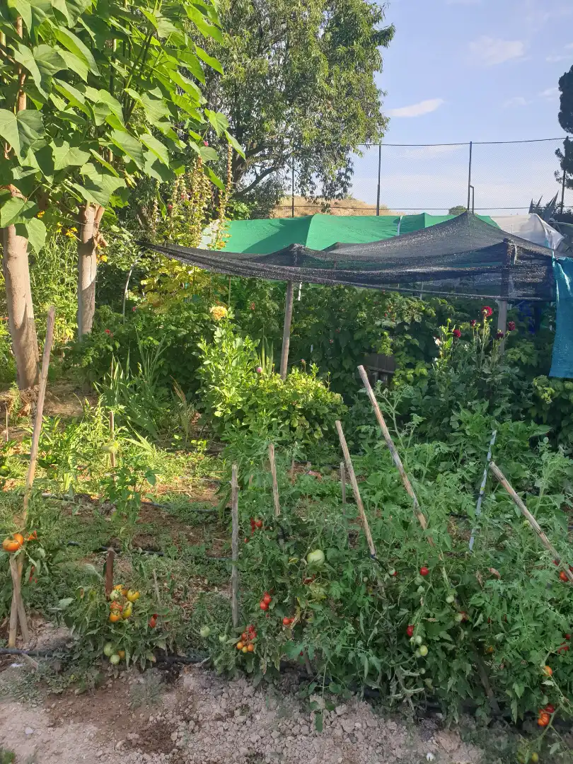 Terreni e lotti in vendita a Fraga, imagen 46