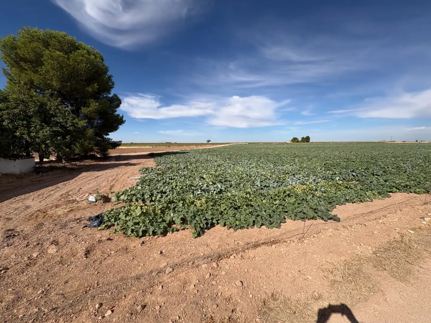 Rural land for sale in CM-400 580, imagen 18