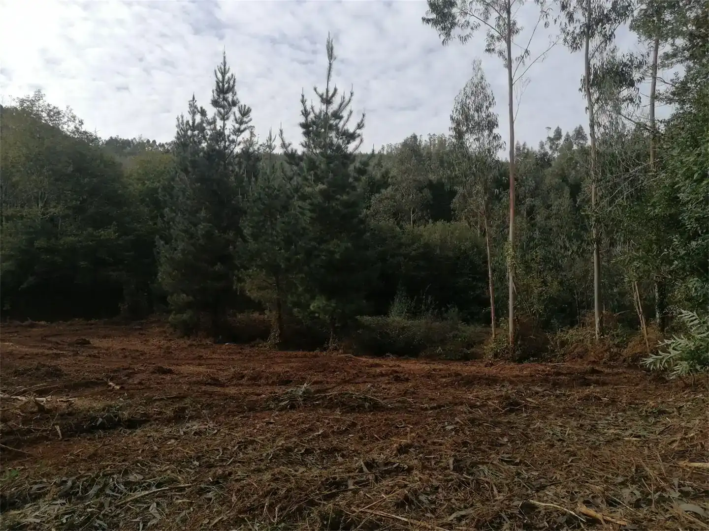 Terreno en venta en Cerdido