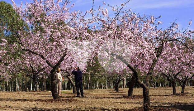 Piso en Venta en Conrado Del Campo en Salvador