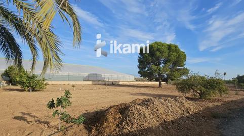 Photo 2 of Land for sale in Los Saez, El Mirador Pozo Aledo, Murcia