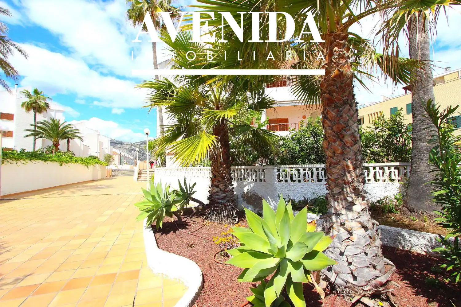 Apartamento en venta en Marítimo del Mediterraneo 29, imagen 53