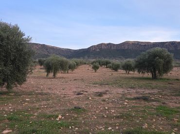 Terreni e lotti in vendita a N/A