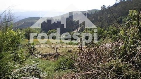 A Cañiza, imagen 4