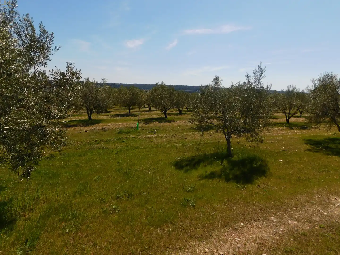 Terreno en venta en Villa del Prado