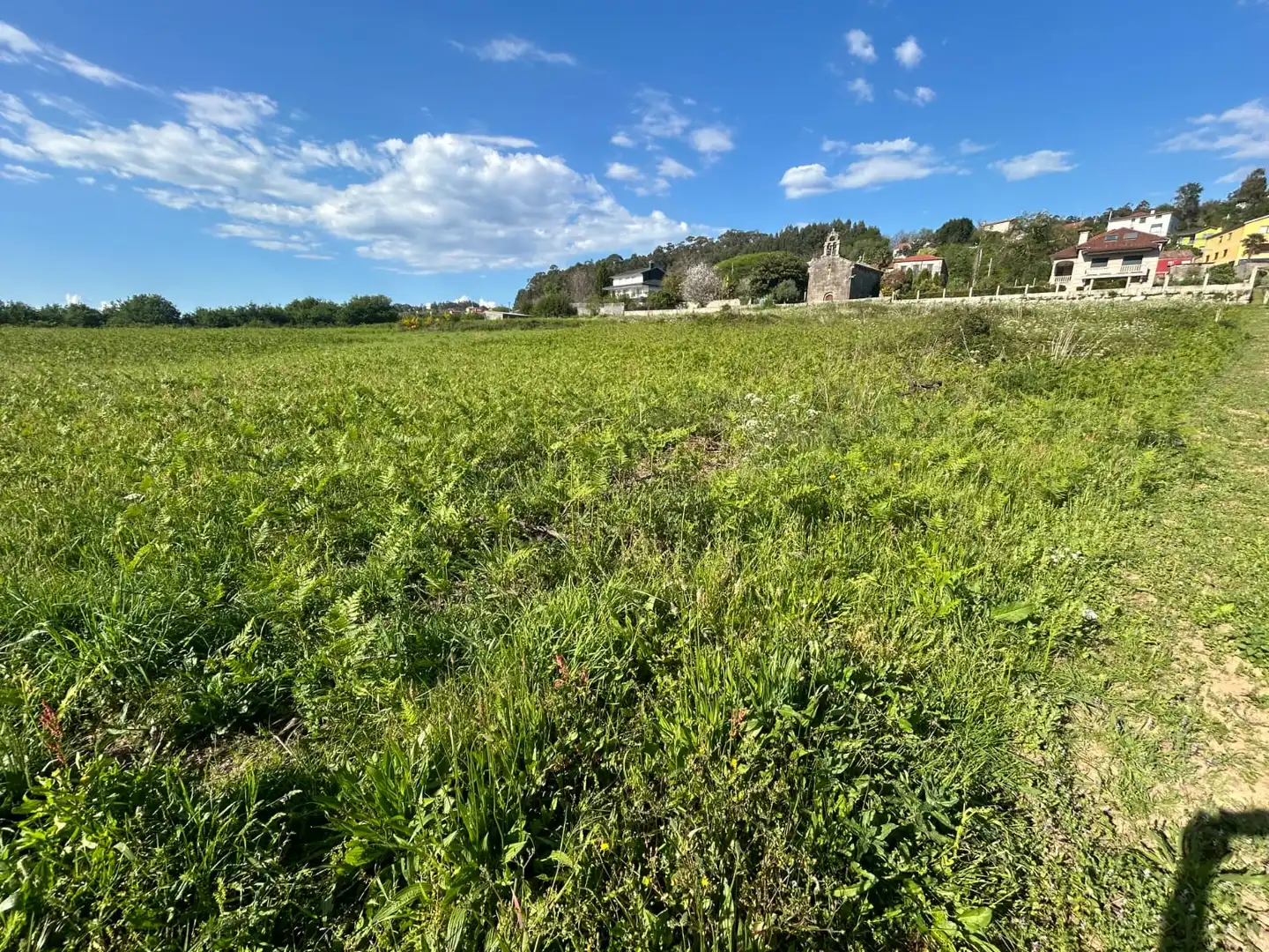 Terreno rustico in vendita a Marín, imagen 2