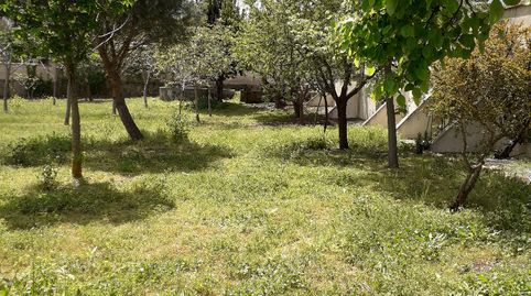 Immagine 2 dell'annuncio