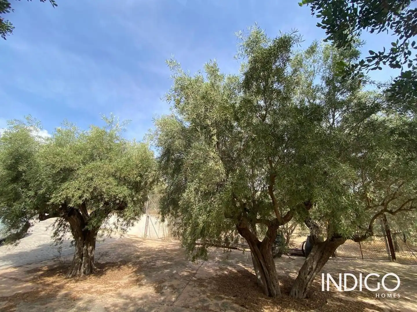 Casa o chalet en venta en Raspeig Polig, Villamontes - Boqueres