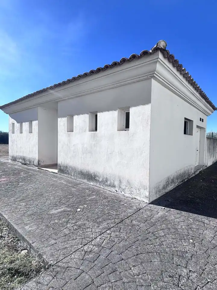 Vista exterior de Casa o chalet en venta en Cabra con Jardín privado, Terraza y Balcón