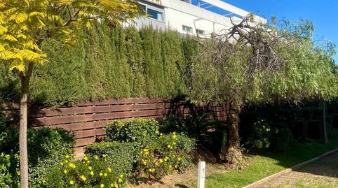 Foto 2 de Planta baixa en venda a Tablero Bajo - Arruzafilla, Córdoba Capital