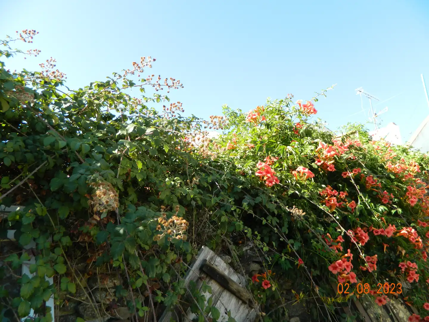 Terreno residencial en venta en N/A, imagen 4
