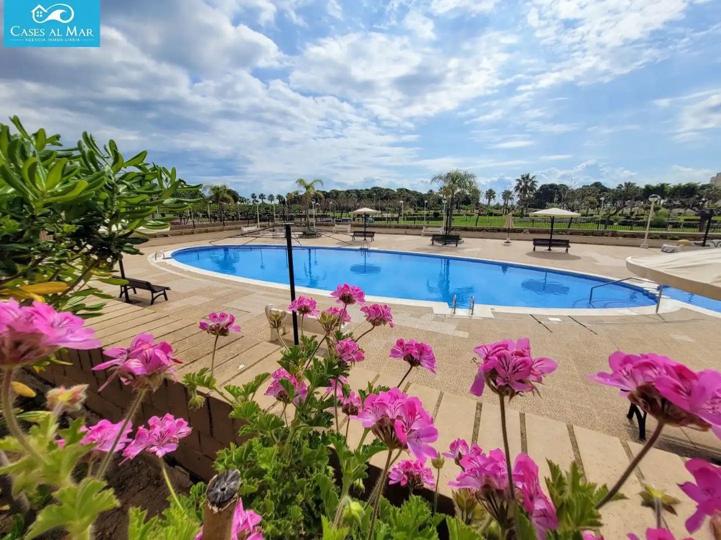 Apartament amb piscina en venda a CENTRAL 52, imagen 39