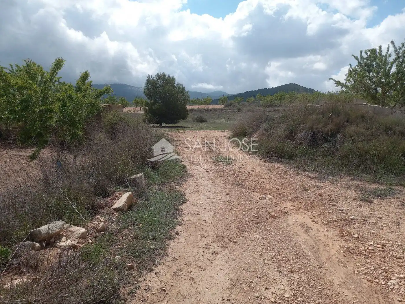 Rustikales Grundstück zum Verkauf in Monóvar  / Monòver, imagen 6