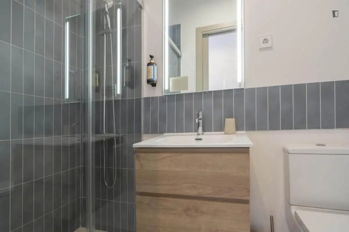 Bathroom of Houses for share in Madrid  with Heating, Furnished and Oven