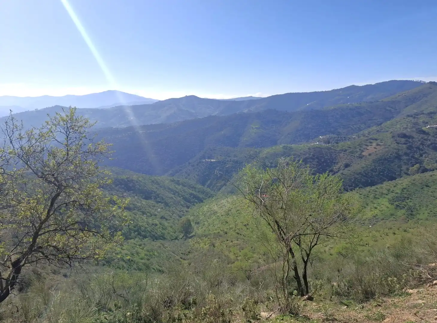 Vista exterior de Finca rústica en venta en Colmenar