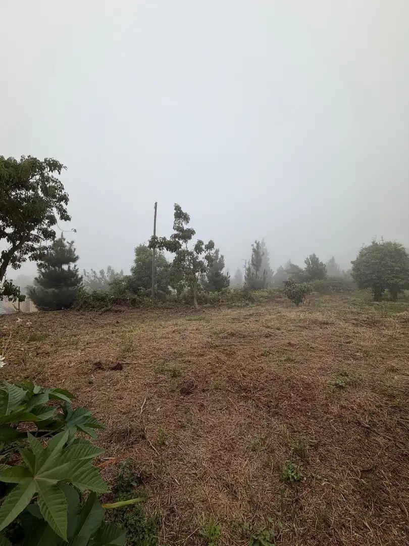 Terreno rustico in vendita a El Bebedero - Pinolere - Aguamansa, imagen 21