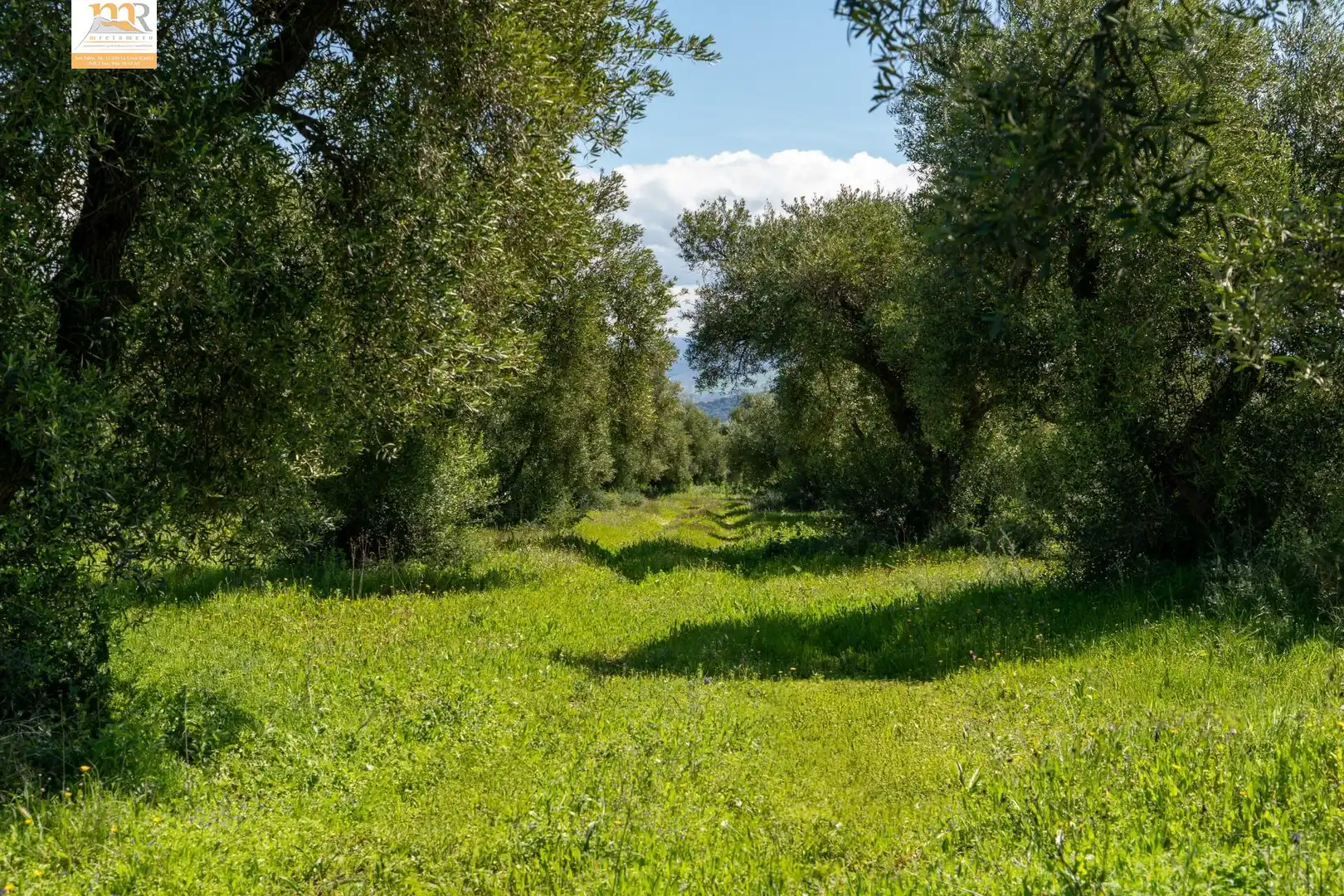 Finca rústica en venta en Prado del Rey