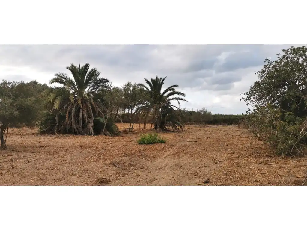 Terreno residencial en venta en La Marina, imagen 7