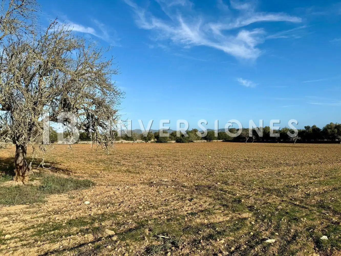 Maison rustique avec jardin à vendre à Polígono Son Soler, imagen 26