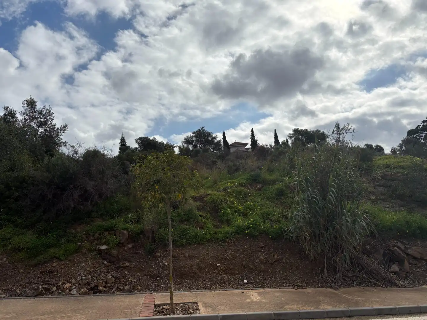 Terreni e lotti in vendita a Elviria - Cabopino, imagen 7