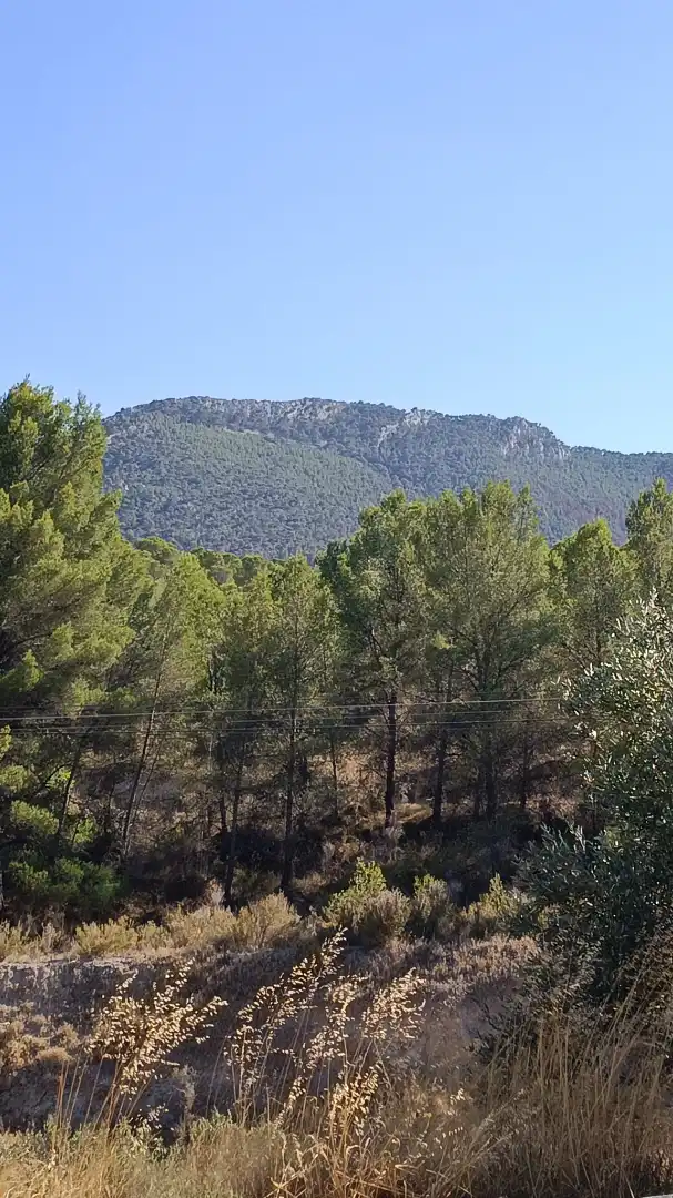 Finca rústica en venta en Tibi con Jardín privado y Terraza