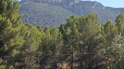 Foto 4 de Finca rústica en venta en Urbanización Pinares del Mecli Izqd, Tibi, Alicante