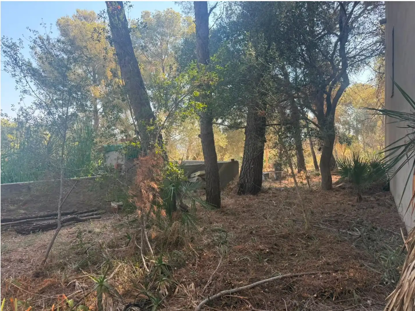 Piso en venta en Cunit