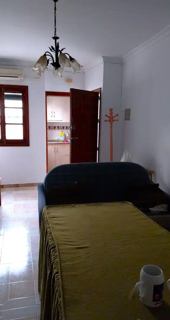 Sala de estar de Piso de alquiler en Carmona