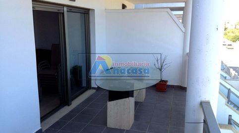 Foto 4 de Piso de alquiler en Oliva Nova, Oliva