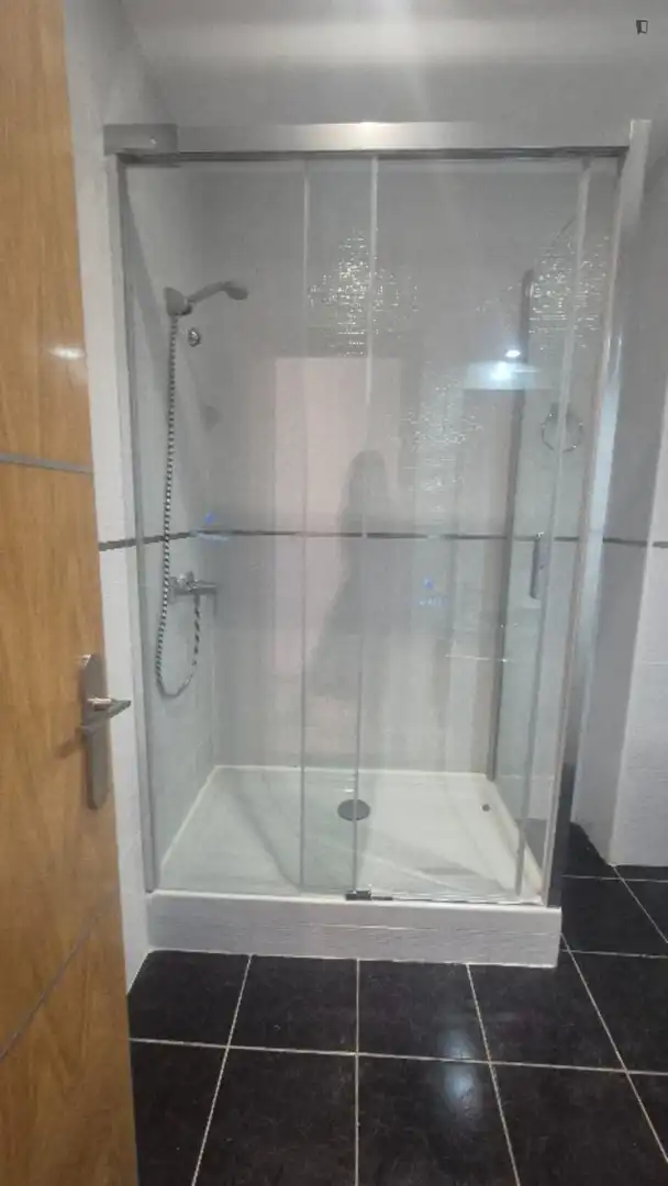 Bathroom of Apartments for rent in Madrid  with Air Conditioner, Heating and Furnished