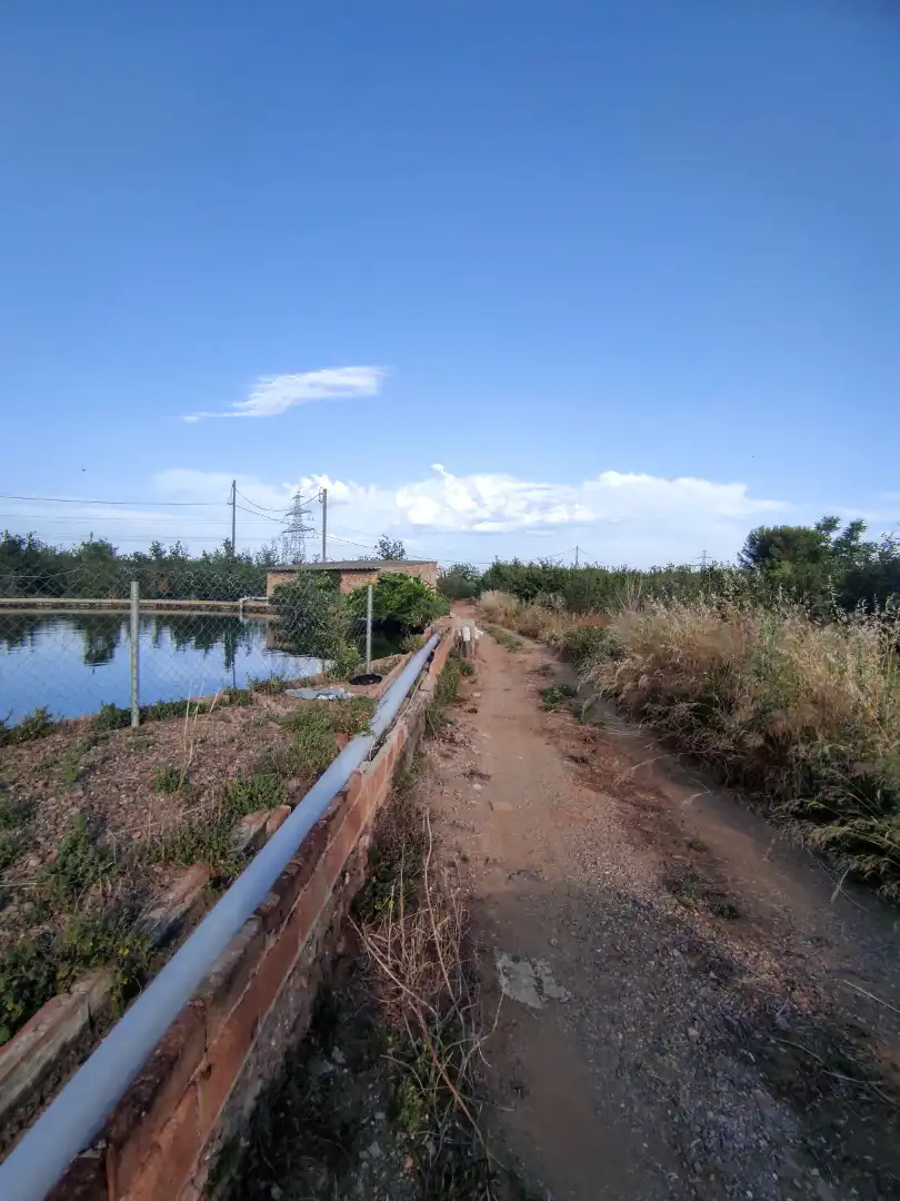 Land for sale in Vilallonga del Camp