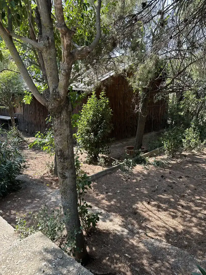 Garden of Country homes for sale in Longares, Zaragoza