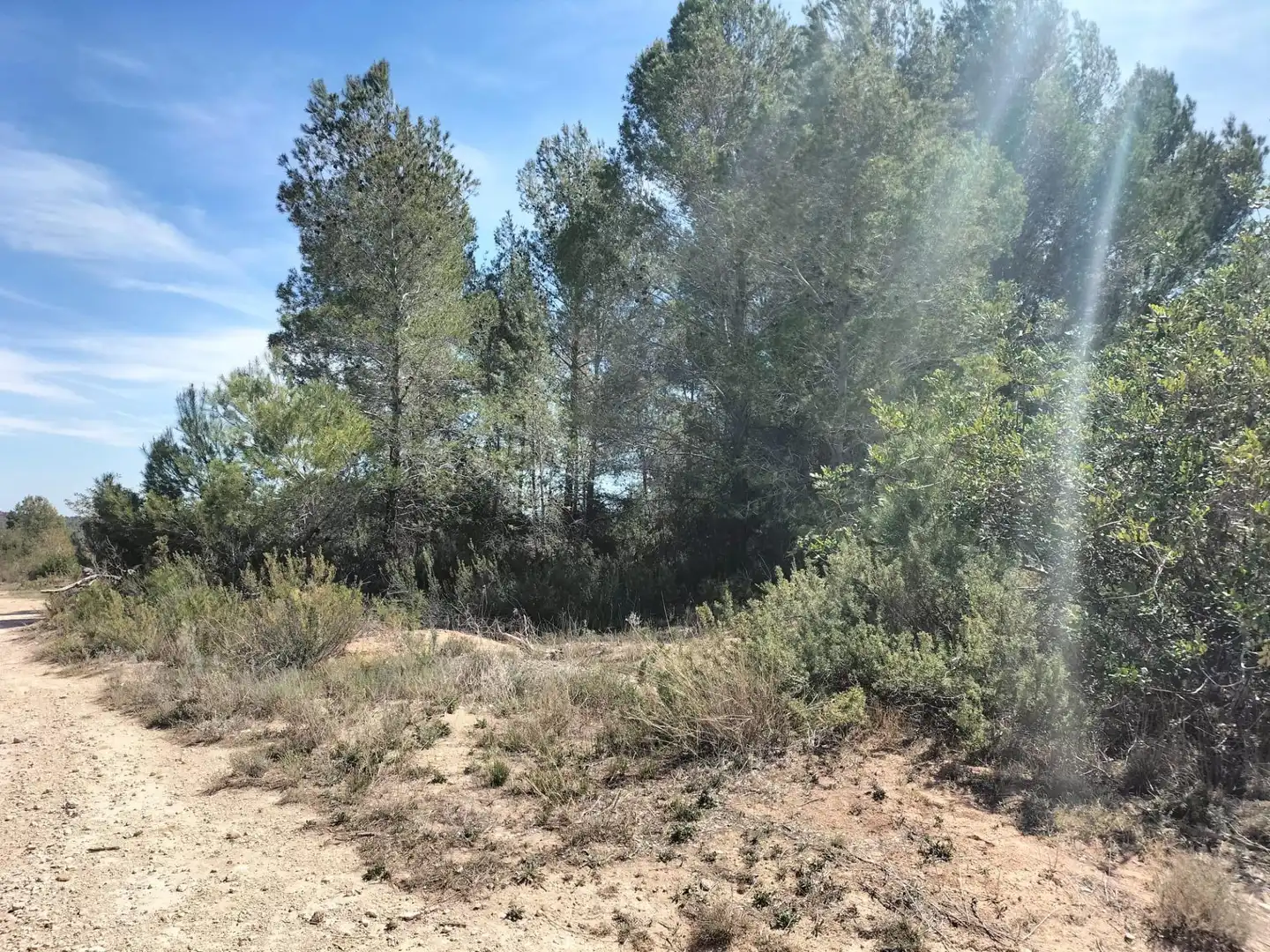 Terreno rustico in vendita a Navarrés, imagen 3