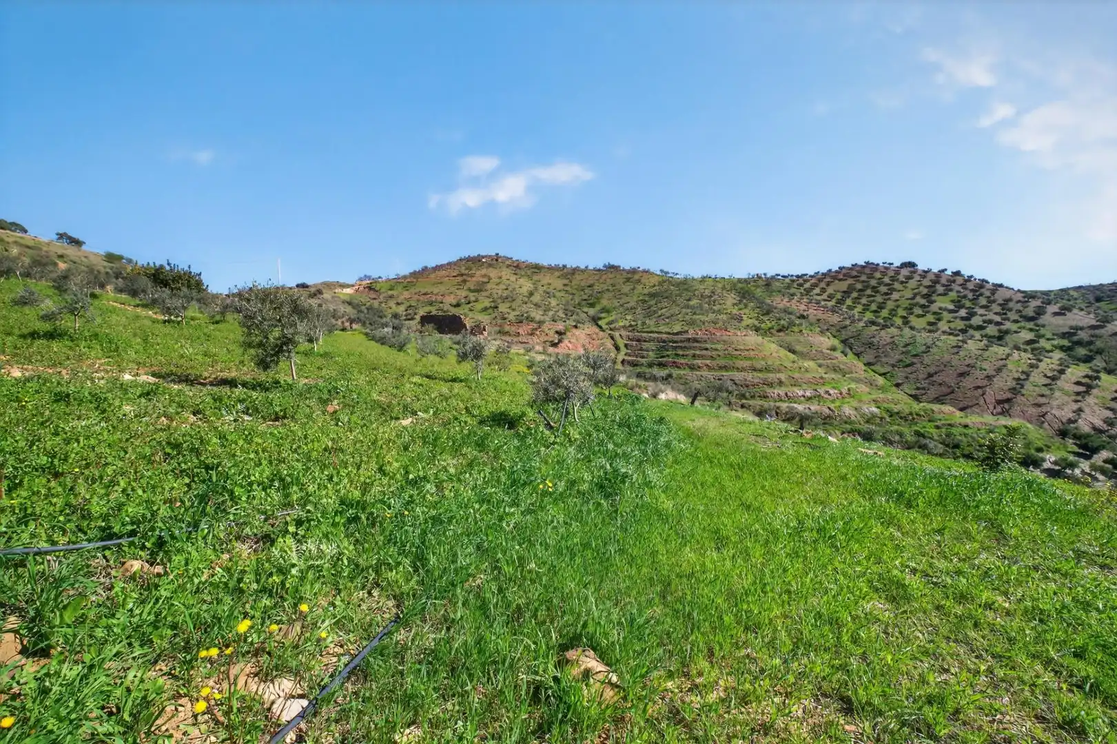 Residencial en venta en Cártama