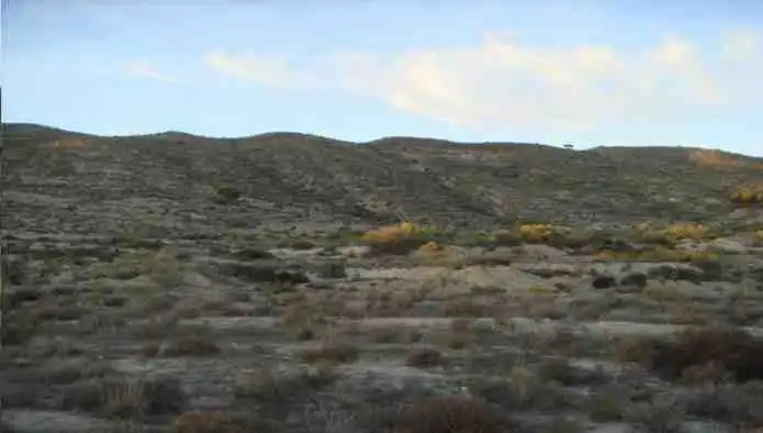 Terreno rustico in vendita a Pj El Estrecho, imagen 9