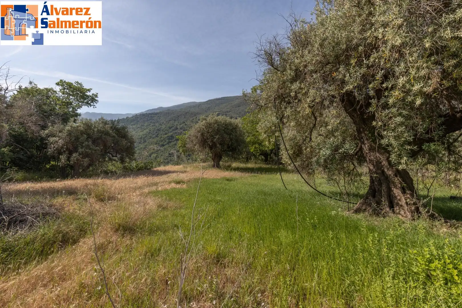 Lands and plots for sale in Carretera de Maitena, imagen 2