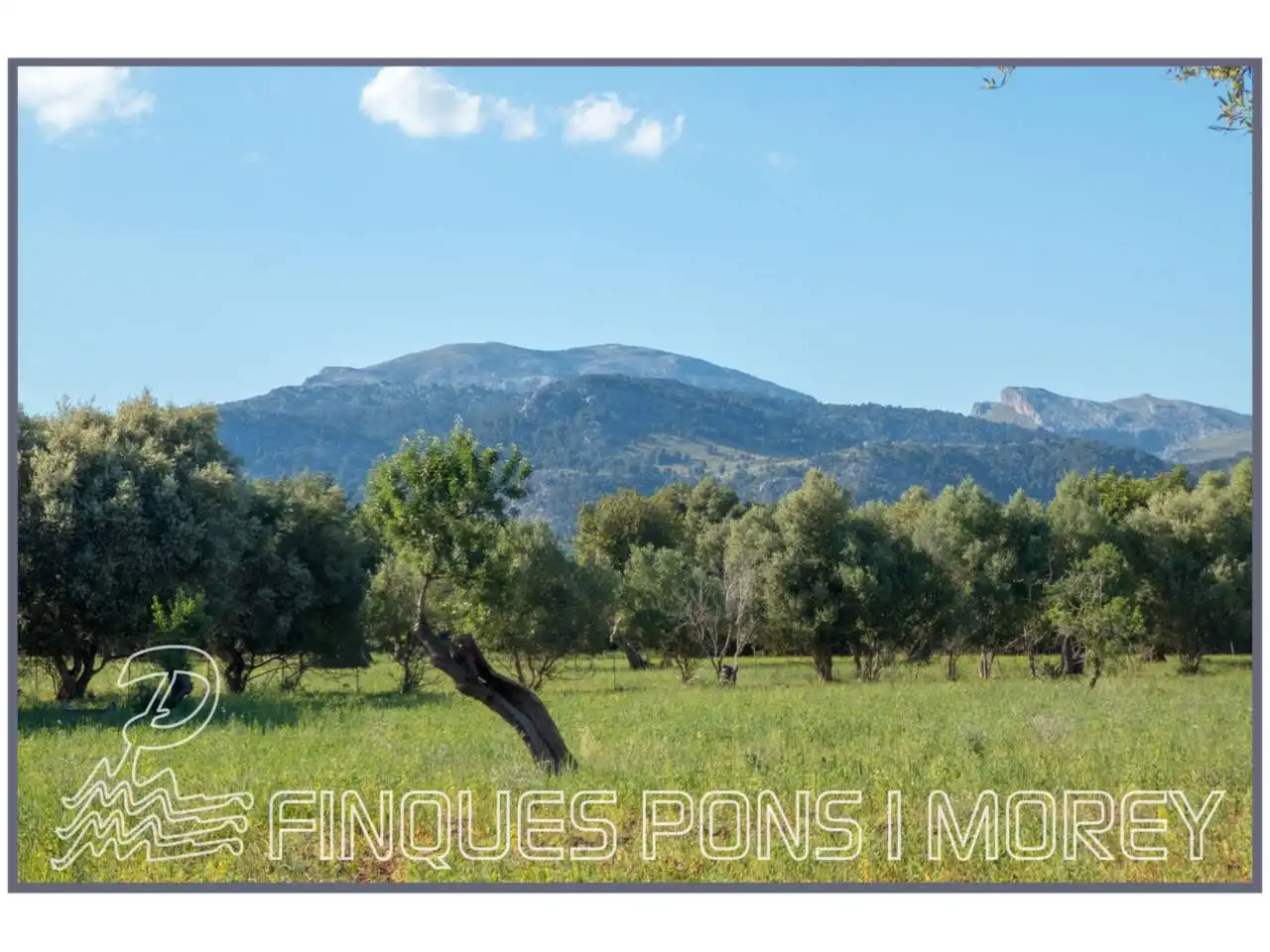 Finca rústica en venda en Campanet