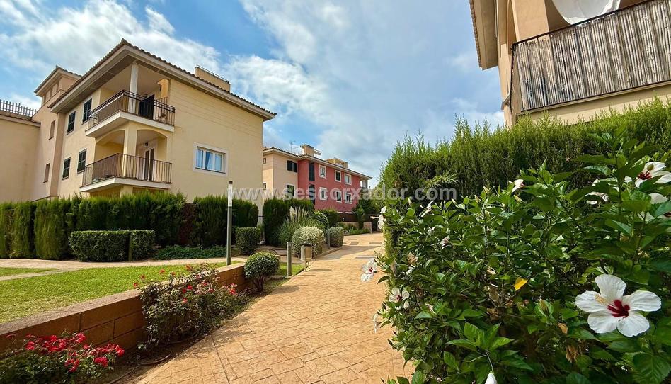Photo 1 of Flat for sale in Sa Torre, Illes Balears
