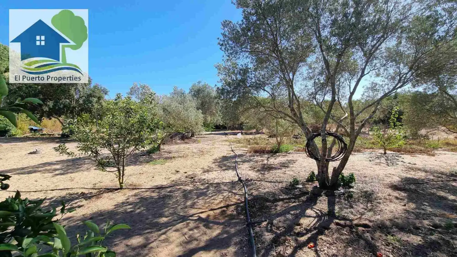 Finca rústica en venta en El Puerto de Santa María con Jardín privado, Terraza y Trastero