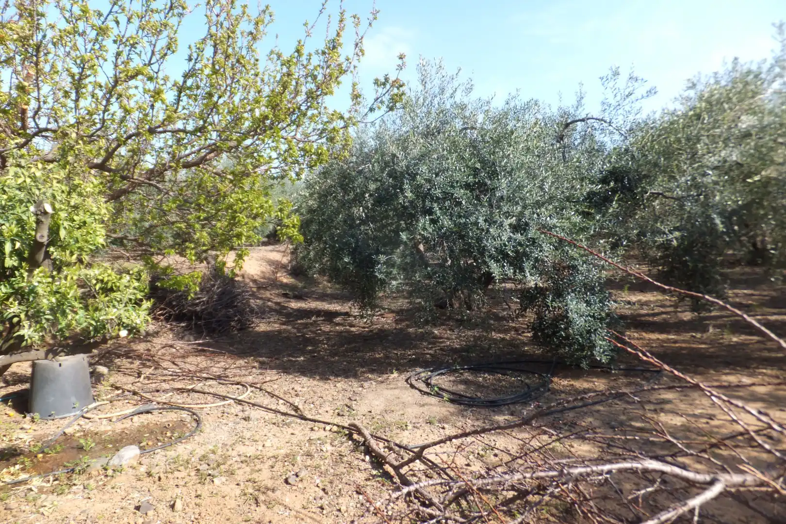 Terreno residencial en venta en Riudoms, imagen 34