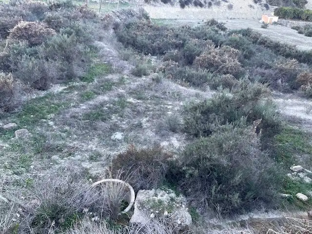Terreno rústico en venta en Calle Taha de Marchena 13, imagen 3
