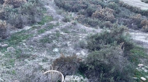 Huecija . Parcela en venta Rustica, imatge 3