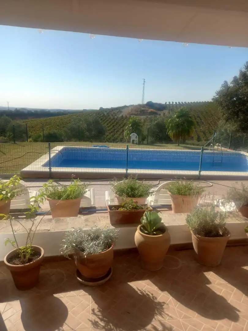 Piscina de Finca rústica en venda en Arcos de la Frontera amb Jardí privat i Piscina comunitària