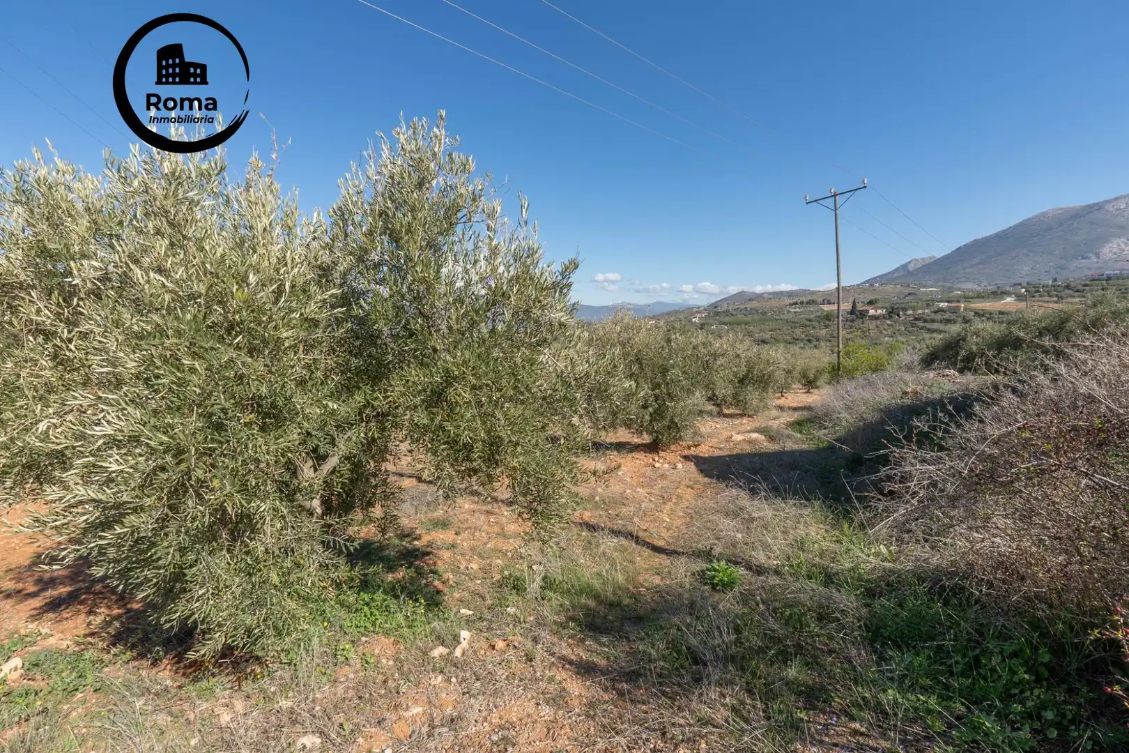 Terreni e lotti in vendita a Cogollos de la Vega, imagen 12