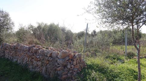 Photo 5 of Residential for sale in Campos poble, Campos